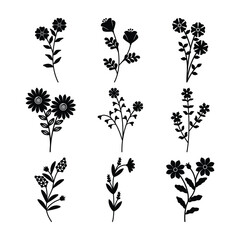 Fototapeta premium Set of branch and leaves vector