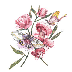 Pink butterfly, peony flower, bud, mushrooms isolated on white background. Watercolor hand drawn llustration for design - 605979854