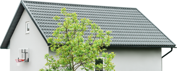 A small building in the courtyard of a private house with a basketball hoop on the wall