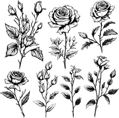 Set of floral doodle. Flower doodle, leaf and twig doodle. Floral poster, invitation floral. Vector arrangements for greeting card or invitation design	