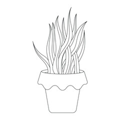 Hand drawn Cactus Outline Vector Illustration with pot