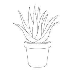 Hand drawn Cactus Outline Vector Illustration