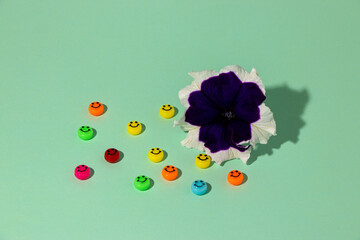 petunia flower head on the green background with many smiles
