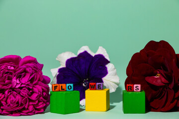 cube's with the inscription flowers, flowers behind, creative spring-summer design, flowers lovers
