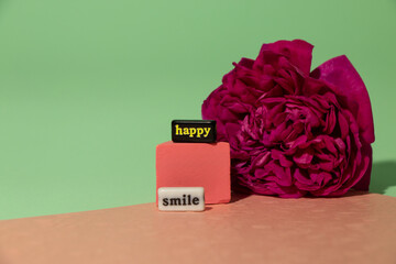 flower and pink cube with the inscription smile and happy, creative cheerful design on the green-pink background
