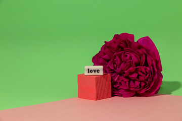 flower and pink cube with the inscription love, creative romantic design on the green-pink background
