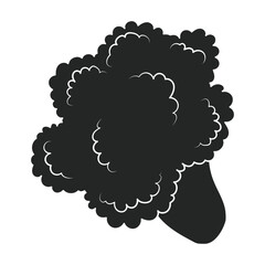 Broccoli vector icon.Black vector icon isolated on white background broccoli.