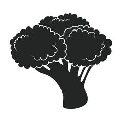 Broccoli vector icon.Black vector icon isolated on white background broccoli.