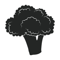 Broccoli vector icon.Black vector icon isolated on white background broccoli.