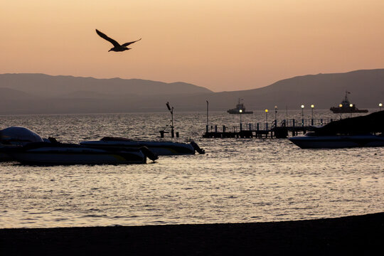 Sunset silhouette with seagull flying over Pacific ocean bay with boats and jetty, orange and golden Paracas, Pisco Bay, Peru, South America.