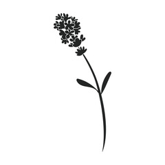 Lavender vector icon.Black vector icon isolated on white background lavender.