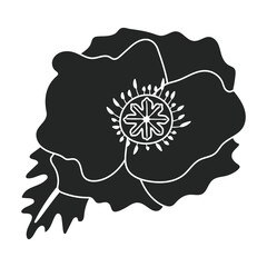 Poppy flower vector black icon. Vector illustration poppy red on white background. Isolated black illustration icon of red elower.