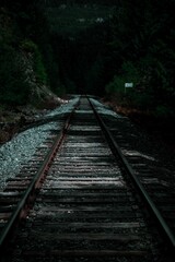 Vertical shot of railway tracks in a forest