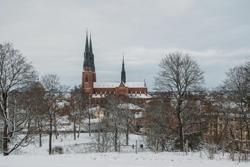 Winter scene of the brick stone Uppsala Cathedral with snow-covered yard in winter in Sweden