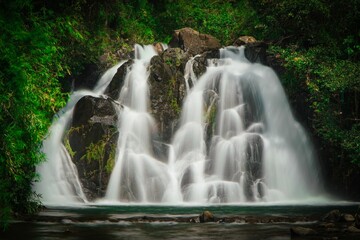 Long exposure shot of a waterfall surrounded by green trees - Powered by Adobe