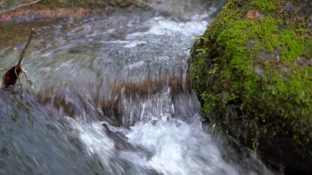 River flowing over the mossy rocks in the forest