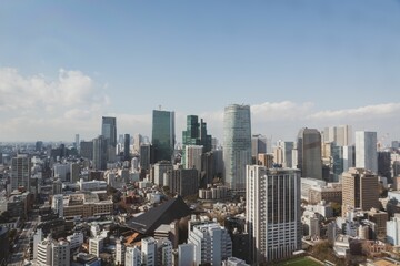 Fototapeta na wymiar Aerial shot of the nuerous buildings of Tokyo, Japan