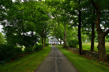 Beautiful shot of a narrow path surrounded by trees leading to a big house