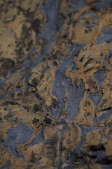 Vertical close-up of spartacus granite texture