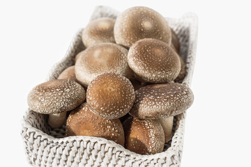 Organic shitake mushrooms in basket and on stone