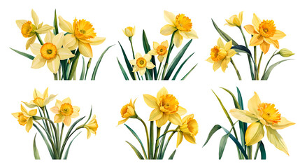Watercolor daffodil set. Generative Ai - obrazy, fototapety, plakaty