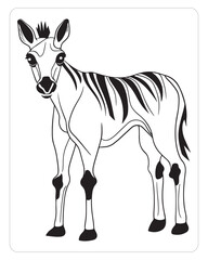 Cute okapi, Okapi Vector, Okapi illustration, Animals Coloring pages, Jungle Animals,  Black and white