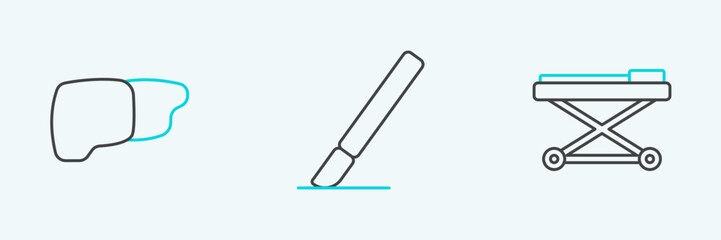 Set line Stretcher, Human organ liver and Surgery scalpel icon. Vector