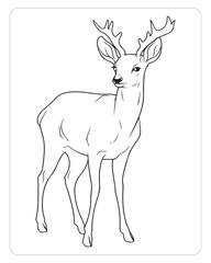 Cute Deer, Deer Vector, Deer illustration, Animals coloring pages, Jungle Animals, Coloring Pages for kids, Black and white