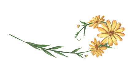 Yellow flower and leaves. Line borders, laurels and text divider. Watercolor illustration.