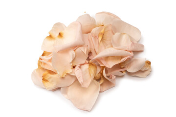 Dry pink rose isolated on a white background.