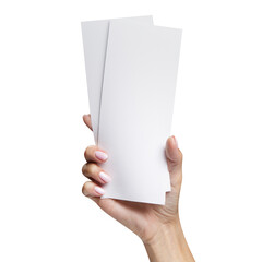 Female hand holding two blank sheets of paper (tickets, flyers, invitations, coupons, banknotes, etc.), cut out