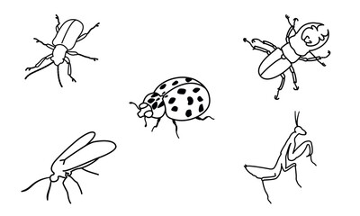 Ladybug, beetle, mantis