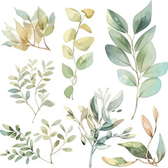 Set of leaves watecolor, green leaf, botanical leaves, Floral poster, invitation floral. Vector arrangements for greeting card or invitation design	