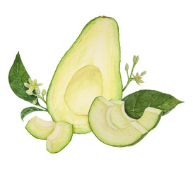 Avocado halves and pieces watercolor hand drawn realistic illustration. Green and fresh art of salad, sauce, guacamole, smoothie ingredient. For textile, menu, cards, paper, package design