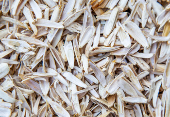 Sunflower seed peels background. Close up