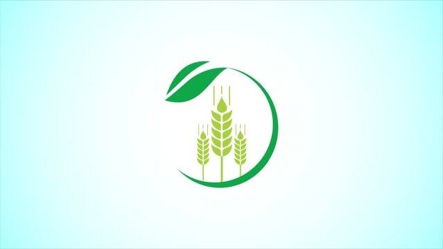 Wheat Icon and Logo. Agriculture Icon video animation