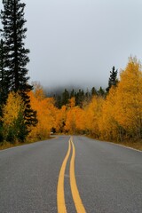 Fototapeta premium Road leading to autumn forest and mountains covered with fog