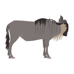 Animal illustration. Standing wildebeest drawn in a flat style. Isolated object on a white background. Vector 10 EPS