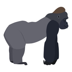 Animal illustration. Walking gorilla drawn in a flat style. Isolated objects on a white background. Vector 10 EPS