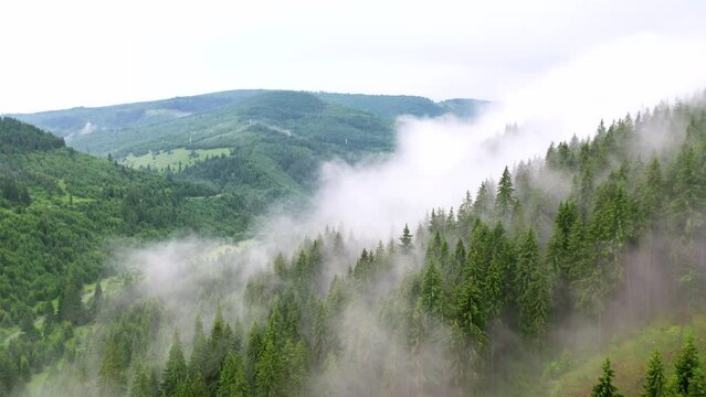 Drone view over foggy forested landscapes during daytime