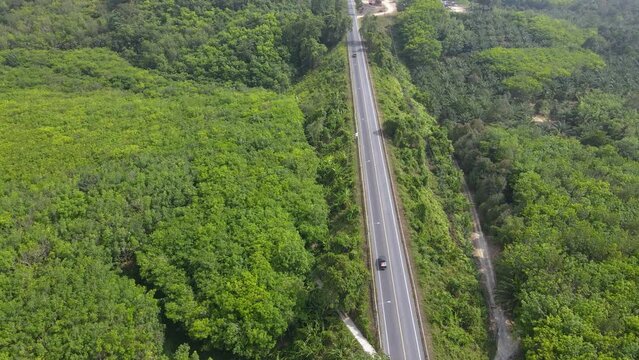 road and car cossing into forest and mountain.