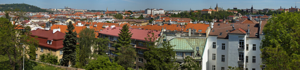 Obraz premium View of the architecture in Prague from Vysehrad,Czech republic,Europe 