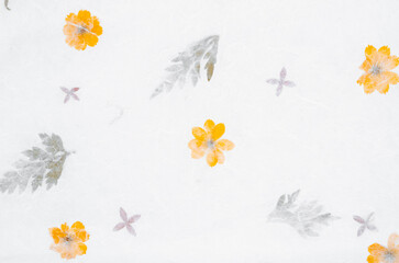 The Mulberry paper with flower texture background.