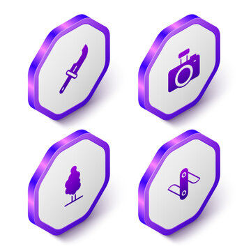 Set Isometric Hunter knife, Photo camera, Tree and Swiss army icon. Purple hexagon button. Vector