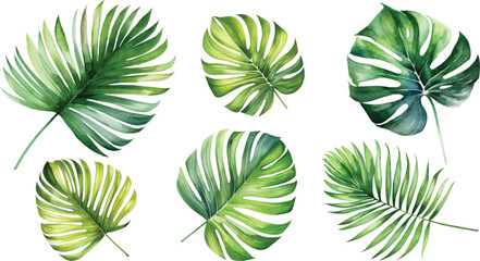 Set monstera leave watercolor painting vector for cards, wedding invitation and birthday cards. - obrazy, fototapety, plakaty