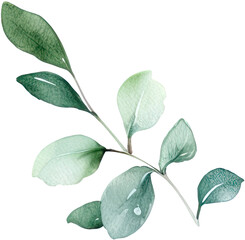 beautiful watercolor leaves