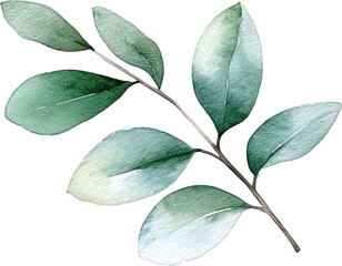 Obraz premium beautiful watercolor leaves