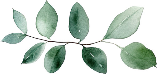 Naklejka premium beautiful watercolor leaves