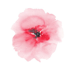 Red flower Botanical loose watercolor illustration Hand painted hand drawn Flowers and leaves Floral Png clipart Sublimation Plant graphic element © Liudmila