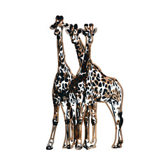 giraffe color sketch with transparent background